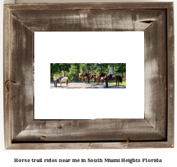 horse trail rides near me in South Miami Heights, Florida